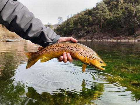 26 Best Fly Fishing Areas in the USA